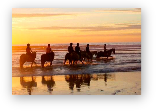 balade plage coucher du soleil cheval